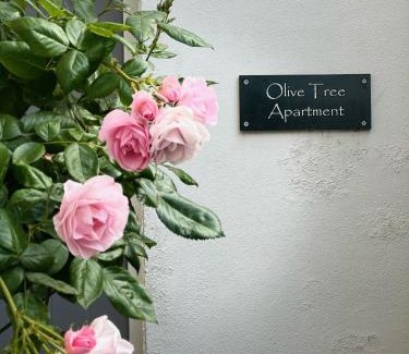 Hove Apartment | Olive Tree Apartment Hove