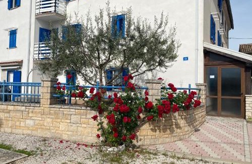 Umag Apartment | Olive Tree Apartments