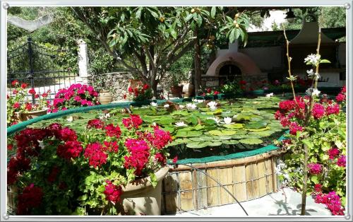 Kantanos-Selino House | Olive tree Cottages