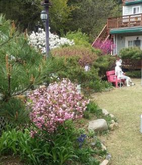 Gyeongju House | Olive Vanilla Pension