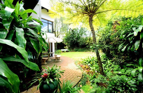 Berea House | Oliveroom Self Catering and B&B