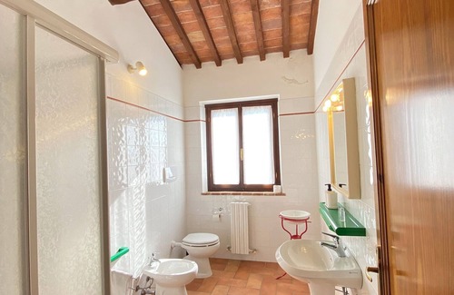 Casciana Terme Lari Other | Olives- The Little House