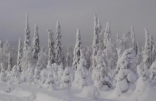 Kuusamo House | Ollilan Lomamajat