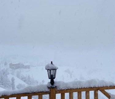 Ardesen Hotel | Olva Suit Bungalov