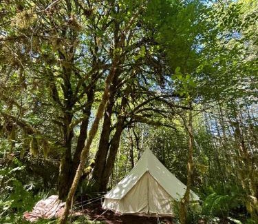 Port Angeles Other | Olympic Glamping