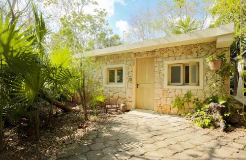 Alfredo V. Bonfil Apartment | OMA CANCUN - Holistic Healing Center