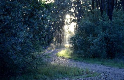 Lower Belford Other | On Bell Glamping