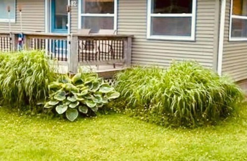 Pointe-du-Chene Cabin | On Pointe!