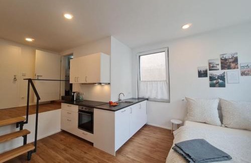 Waldkirch House | on the avenue Comfortable holiday residence