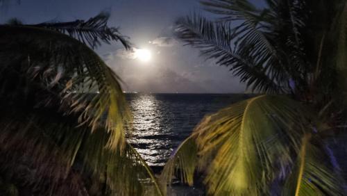 Puerto Juarez Apartment | On The Beach - Seaside Sunrise Haven 3 Bedrooms SEA VIEW