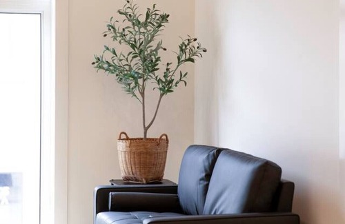 Woodstock Apartment | On Trend - The Charlotte - King