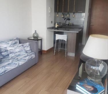 Antofagasta Apartment | One-bedroom apartment
