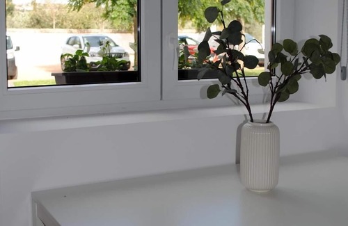 Province of Toledo Apartment | One Bedroom Apartment