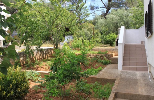 Artatore Apartment | One bedroom apartment with air-conditioning Artatore, Lošinj (A-8007-b)