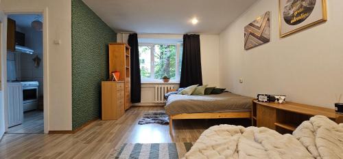 Brasa Apartment | One room apartment near Arena Riga