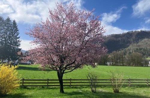 Oberaudorf Apartment | Open Garden Mountain Lodge