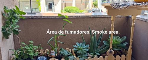 Lordelo do Ouro e Massarelos Apartment | Oporto Central Flat