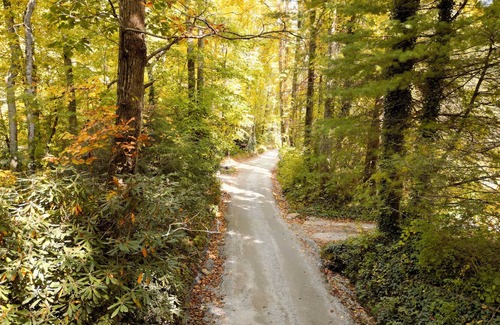 Gerton House | Optional Longterm stays & 25min to Asheville & 10min to groceries &hiking Trails