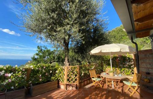 Sorrento House | Orange Cottage Moderno tra gli ulivi di Sorrento