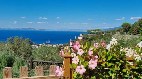 Sorrento House | Orange Cottage Moderno tra gli ulivi di Sorrento