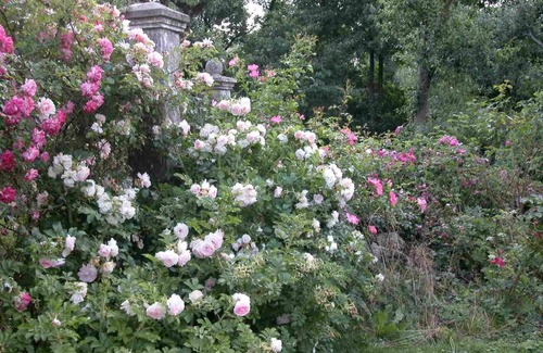Nustrow House | Orangery in the park-like rose garden, wildflower meadow, apiary and pond -