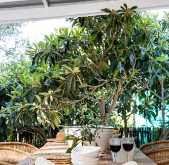 Riebeek Kasteel Apartment | Orchard Cottage