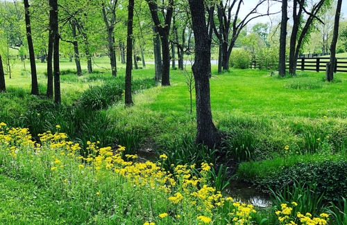 Versailles Cottage | Orchard Park cottage