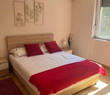 Palilula Apartment | Orchid House