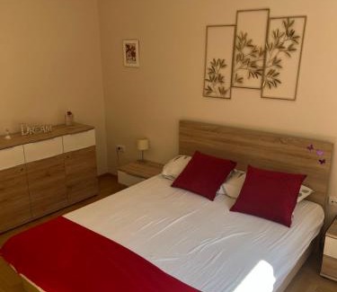 Palilula Apartment | Orchid House