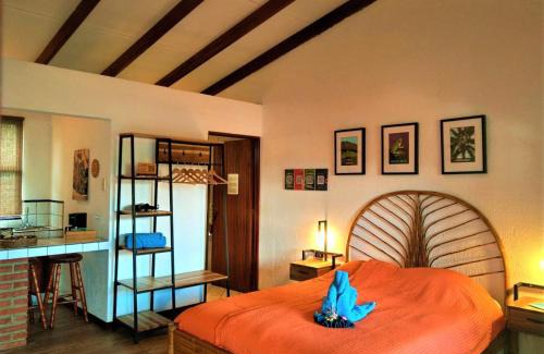 Orosi Hotel | Orosi Lodge