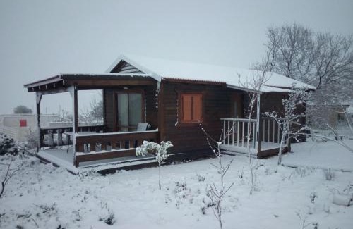 Kela Alon Ski Chalet | Orr Halevana