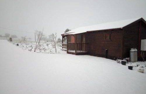 Kela Alon Ski Chalet | Orr Halevana