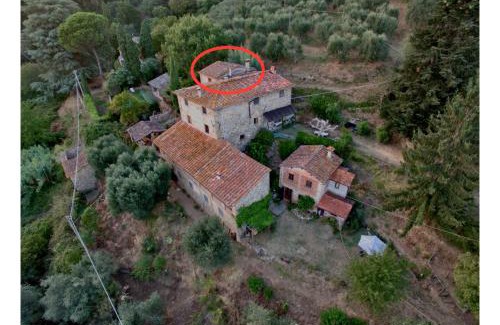 Petrognano Apartment | Orto dei Bruchi