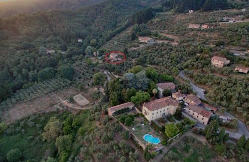Petrognano Apartment | Orto dei Bruchi