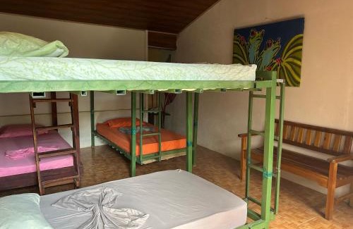Puerto Jimenez House | OSA SURF House