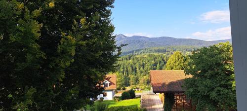 Schwarzenbach Apartment | Osserapartment Green