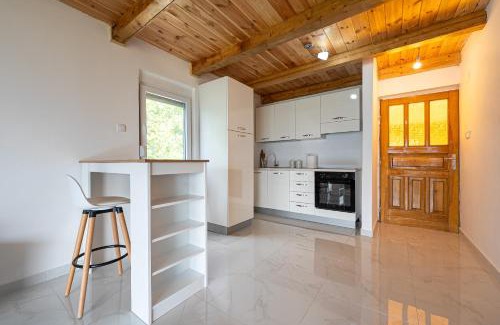 Danilovgrad Municipality Apartment | Ostrog Retreat