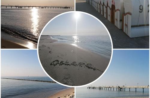 Gelbensande Apartment | Ostsee-Wiesenpieper (Graal-Müritz)
