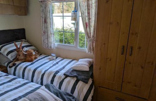 Llanfair Caereinion Other | Otter view