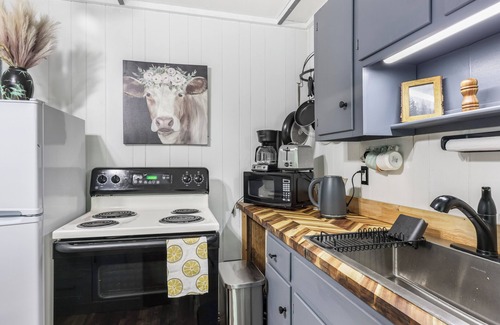 New Market Cabin | "Our Cute Cabin" - AC/heating, Sauna, cold plunge, High speed internet & firepit