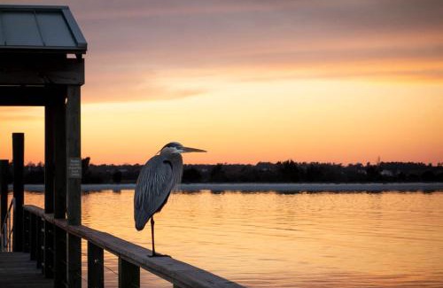 Wrightsville Beach House | Our Happy Place by Bryant Real Estate