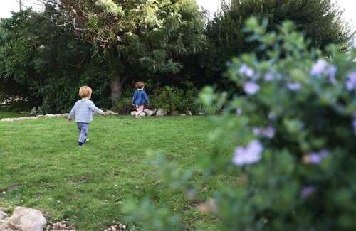 Waterhouse House | Out The Back