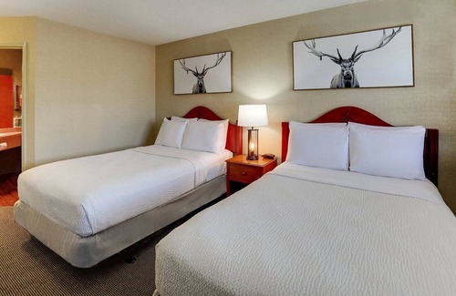 Galena Hotel | Outdoor Pool, Hot Breakfast, Deluxe 2 Queen, Stoney Creek Quad Cities