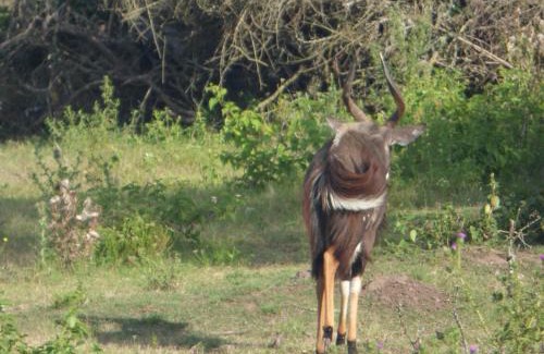 Great Kei Cabin | Outspan Safaris
