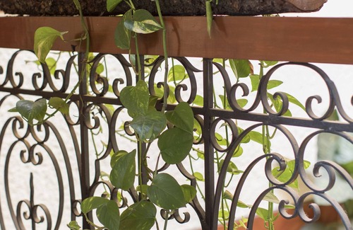 Del Carmen Villa | Outstanding Villa on the Heart Of Coyoacán.