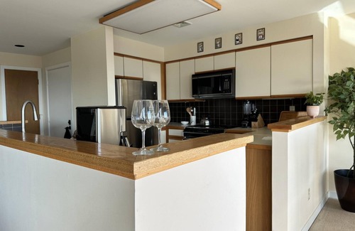 Chestnut Springs Apartment | Overlook Penthouse Wintergreen
