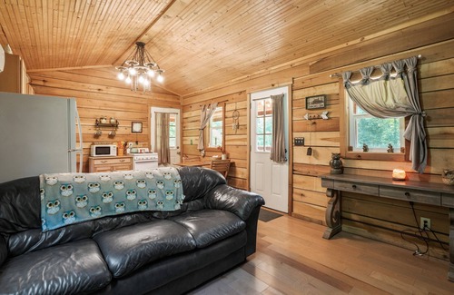 Logan Cabin | Owl Creek on 54 ac, pond, hot tub, fire ring,grill