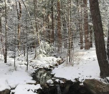 Idyllwild Ski Chalet | Owl Pine Cabin on Strawberry Creek