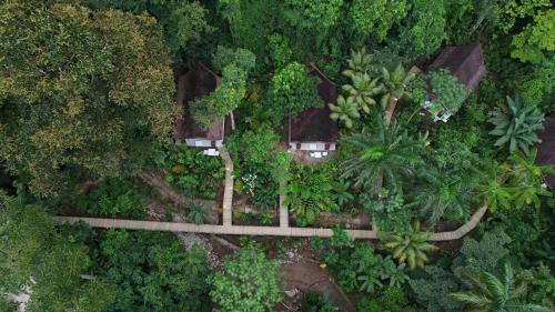 Ballena Hotel | Oxygen Jungle Villas & Spa
