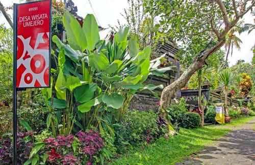 Munduk Hotel | OYO Homes 91091 Desa Wisata Umejero
